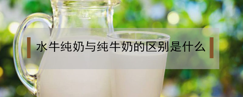 水牛純奶與純牛奶的區(qū)別是什么