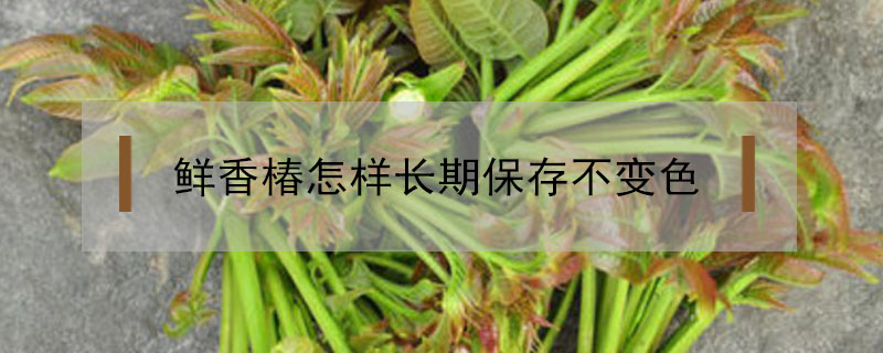 鮮香椿怎樣長期保存不變色