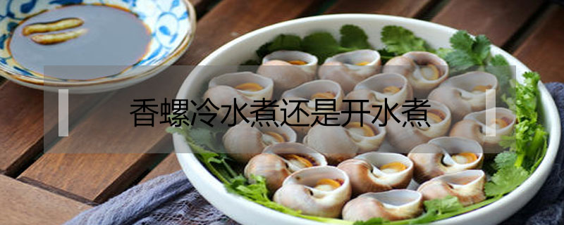 香螺冷水煮還是開水煮