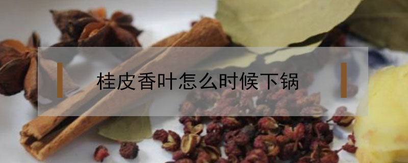 桂皮香葉怎么時候下鍋