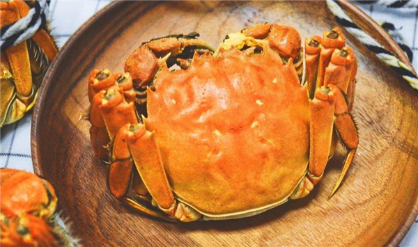 大閘蟹什么季節吃最好，吃大閘蟹喝什么酒好