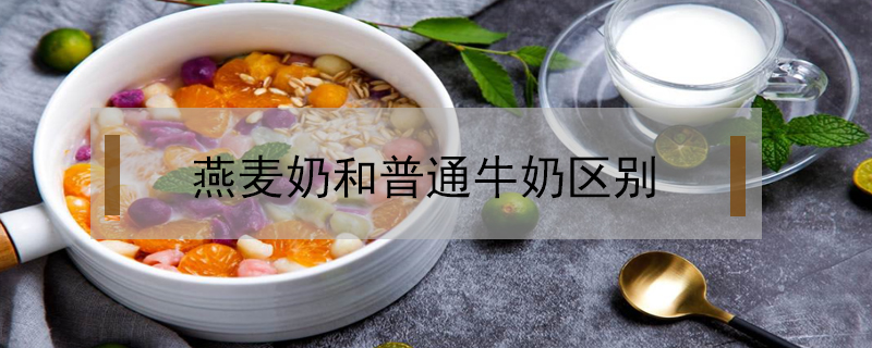 燕麥奶和普通牛奶區別