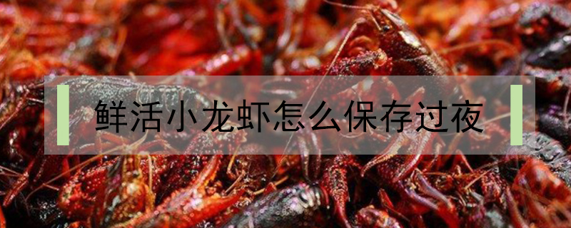 鮮活小龍蝦怎么保存過夜
