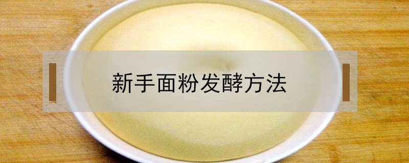 新手面粉發酵方法