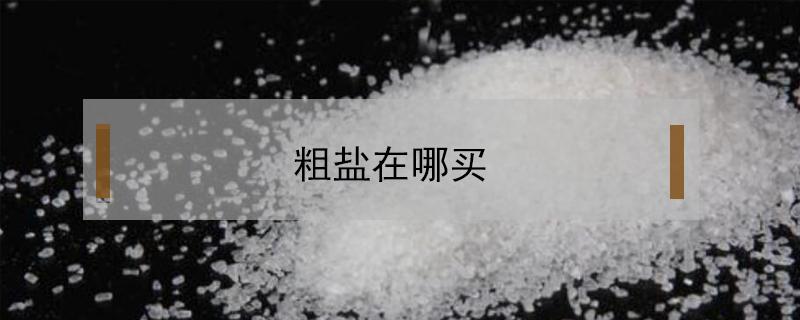 粗鹽在哪買