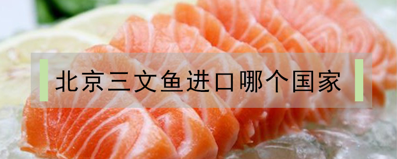北京三文魚進口哪個國家