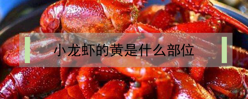 小龍蝦的黃是什么部位