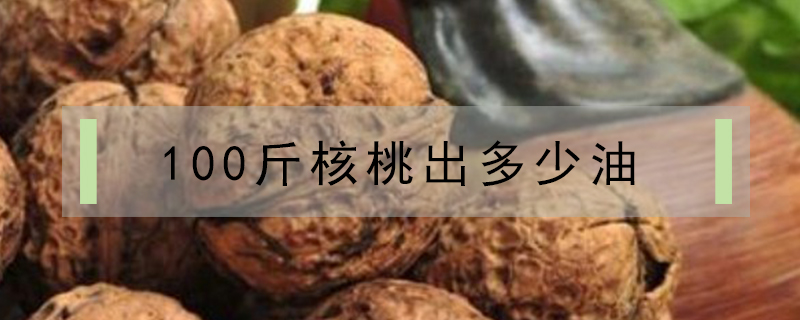 想做鹵菜需要學(xué)習(xí)嗎