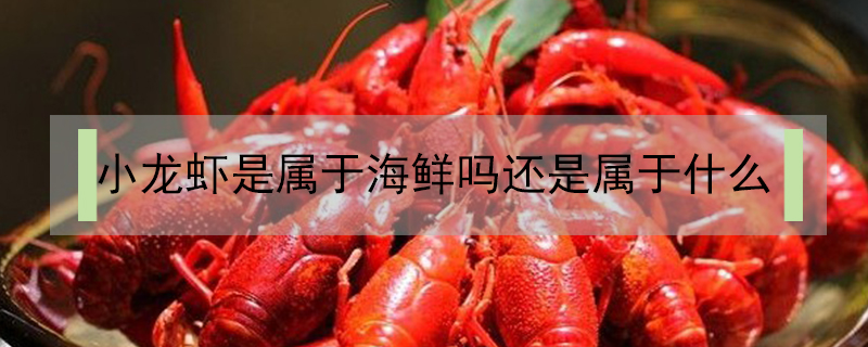 小龍蝦是屬于海鮮嗎還是屬于什么