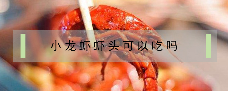 小龍蝦蝦頭可以吃嗎