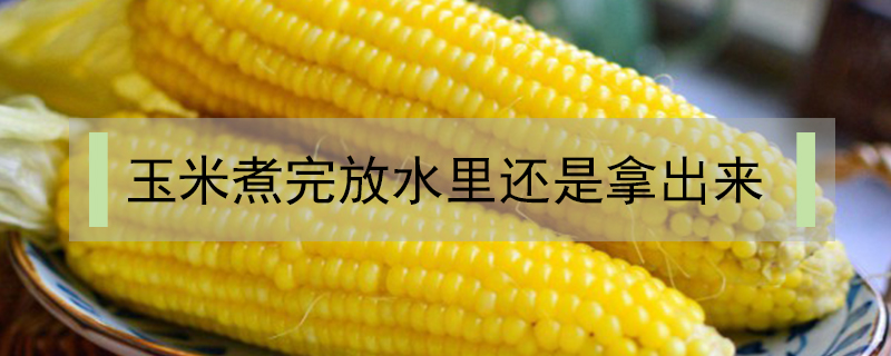 玉米煮完放水里還是拿出來