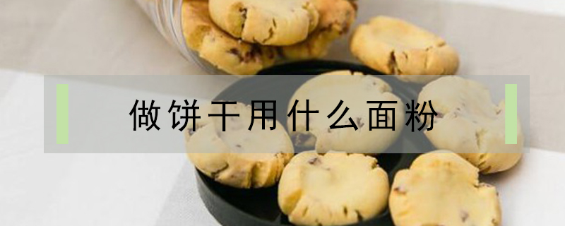 做餅干用什么面粉