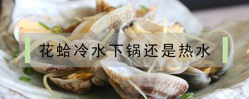 花蛤冷水下鍋還是熱水