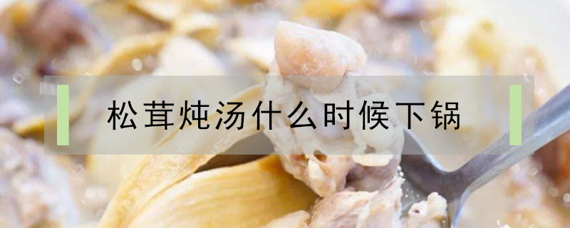 松茸燉湯什么時(shí)候下鍋