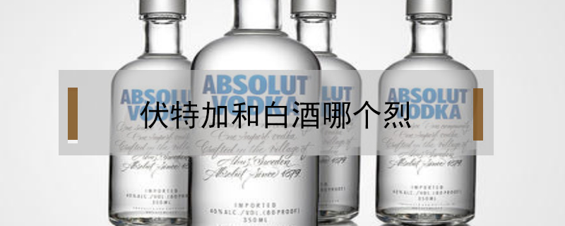 伏特加和白酒哪個烈