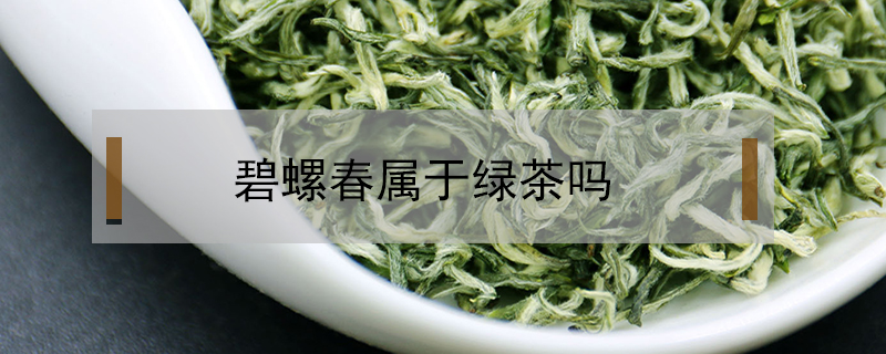 碧螺春屬于綠茶嗎