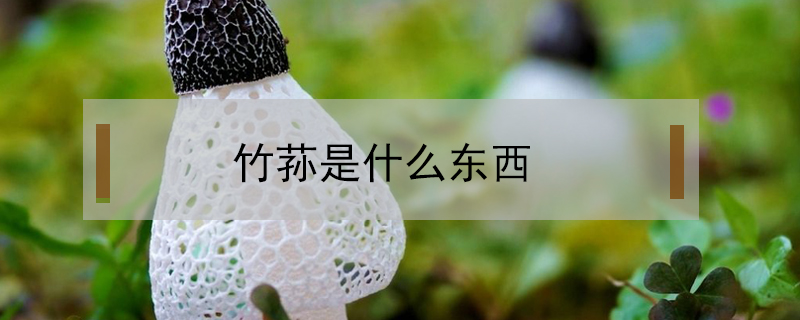 竹蓀是什么東西