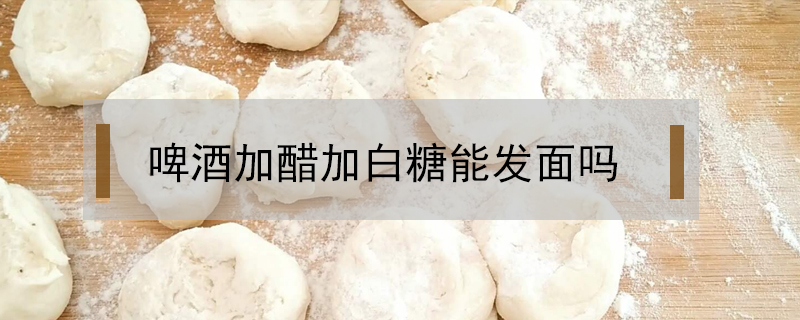 啤酒加醋加白糖能發(fā)面嗎