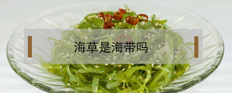 海草是海帶嗎