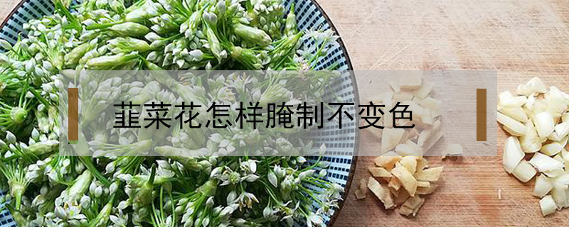 韮菜花怎樣腌制不變色
