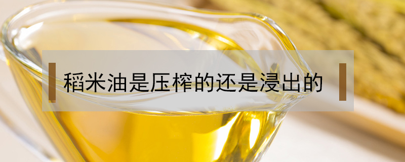 稻米油是壓榨的還是浸出的