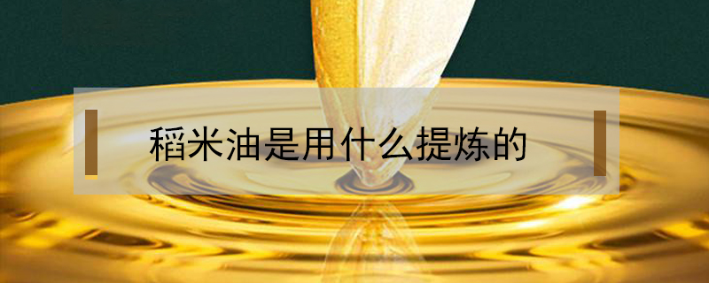 稻米油是用什么提煉的