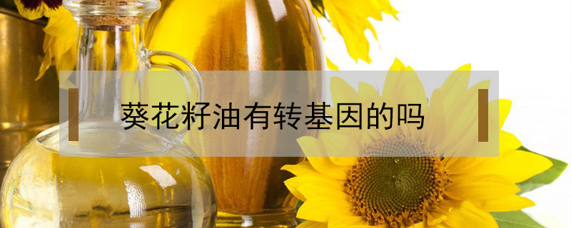 葵花籽油有轉基因的嗎