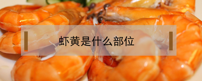 蝦黃是什么部位