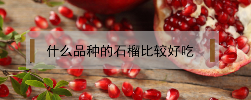 什么品種的石榴比較好吃