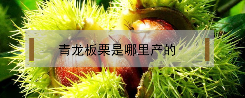 青龍板栗是哪里產的
