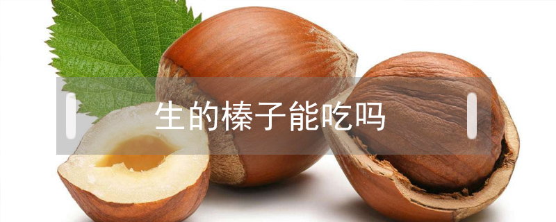 生的榛子能吃嗎