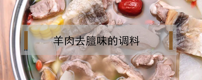 羊肉去膻味的調(diào)料
