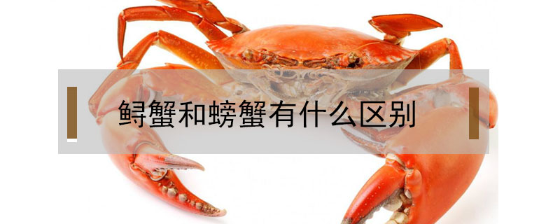 鱘蟹和螃蟹有什么區(qū)別