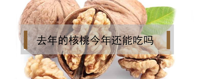 去年的核桃今年還能吃嗎