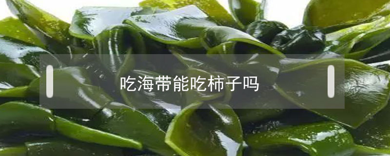 吃海帶能吃柿子嗎