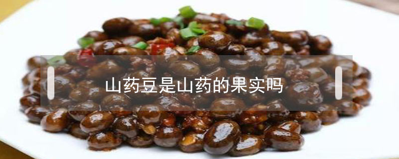 山藥豆是山藥的果實嗎