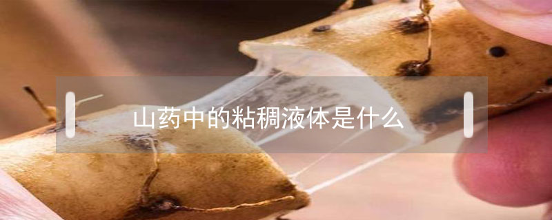 山藥中的粘稠液體是什么