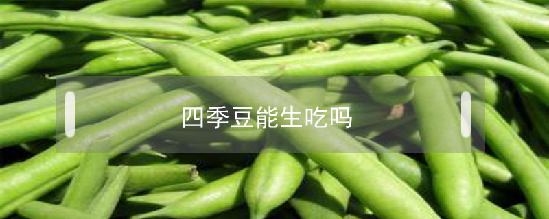 四季豆有幾種