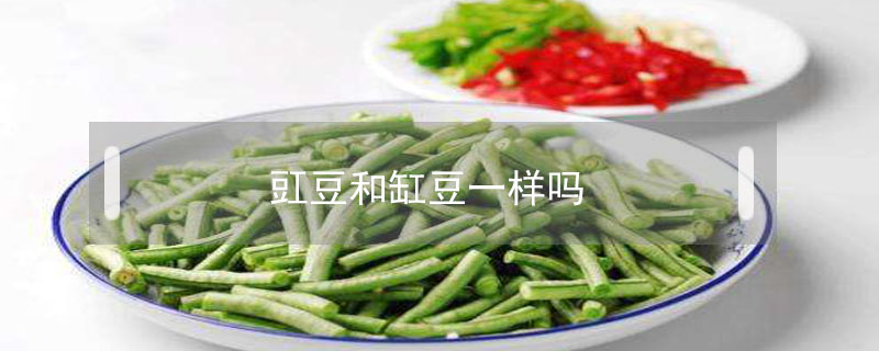 豇豆和缸豆一樣嗎