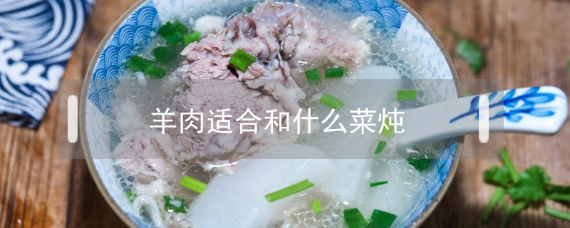 羊肉適合和什么菜燉