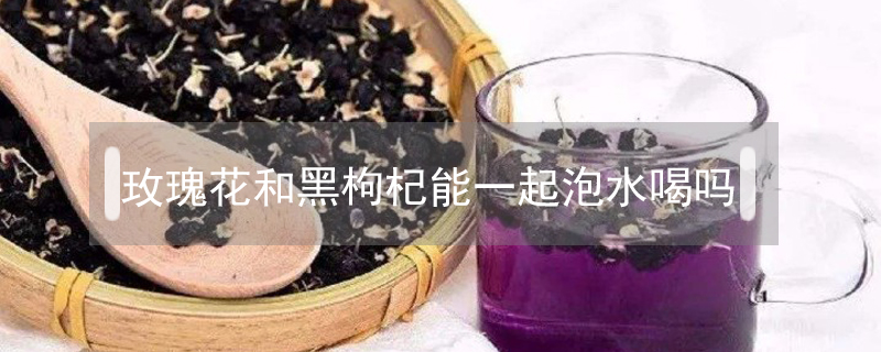 玫瑰花和黑枸杞能一起泡水喝嗎