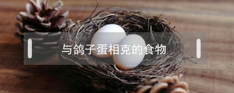 與鴿子蛋相克的食物