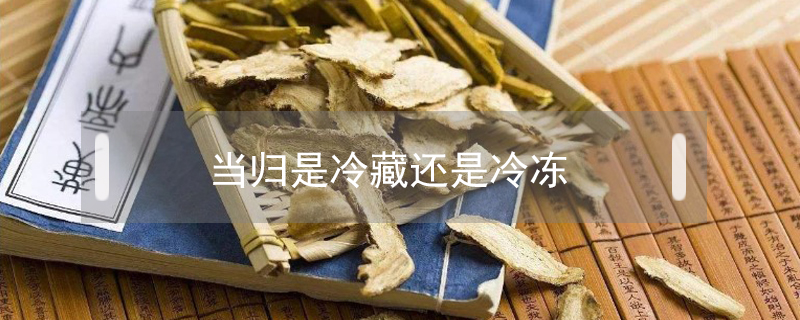 當歸是冷藏還是冷凍