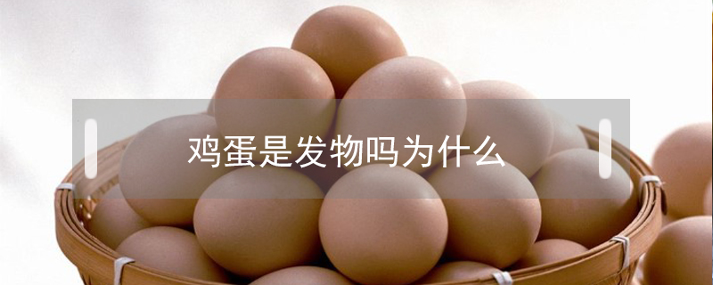雞蛋是發(fā)物嗎為什么