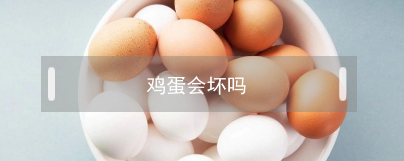 雞蛋會壞嗎