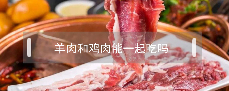 羊肉和雞肉能一起吃嗎