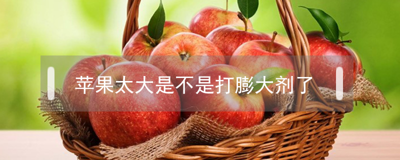 蘋果太大是不是打膨大劑了