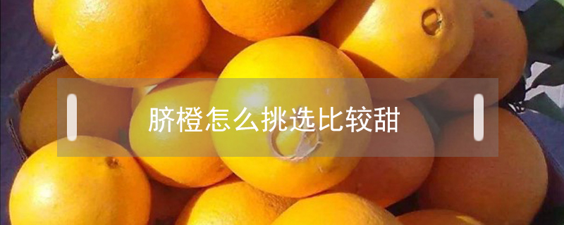 臍橙怎么挑選比較甜