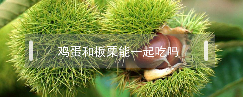雞蛋和板栗能一起吃嗎