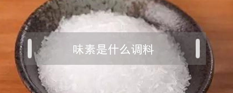 味素是什么調料